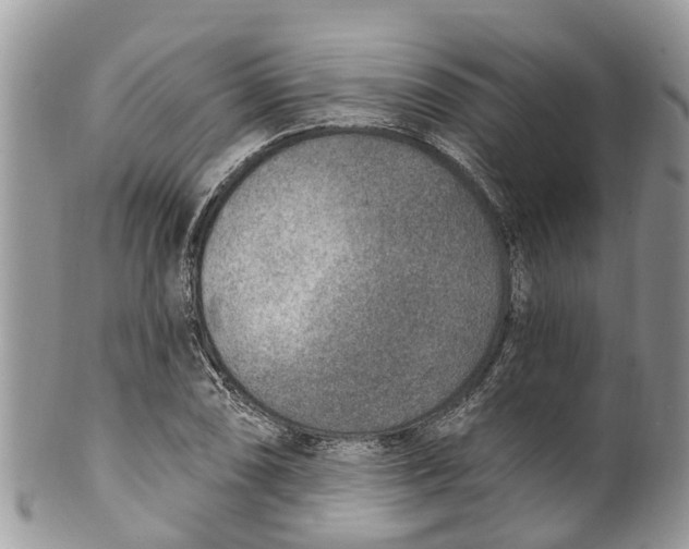 X0000099971074200806131527