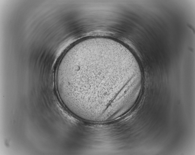 X0000099971075200806131527