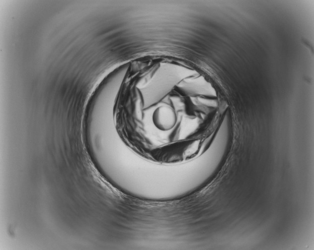 X0000099971076200806131527