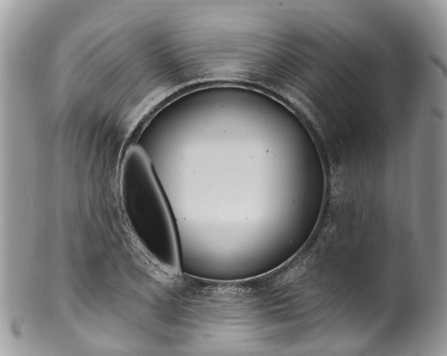 X0000099971077200806131527