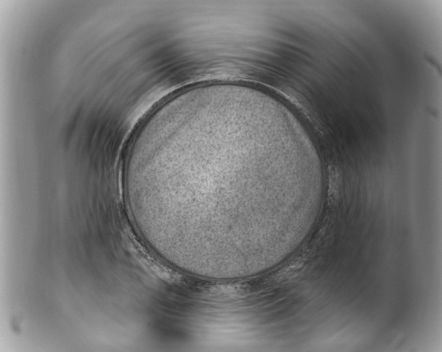 X0000099971078200806131527