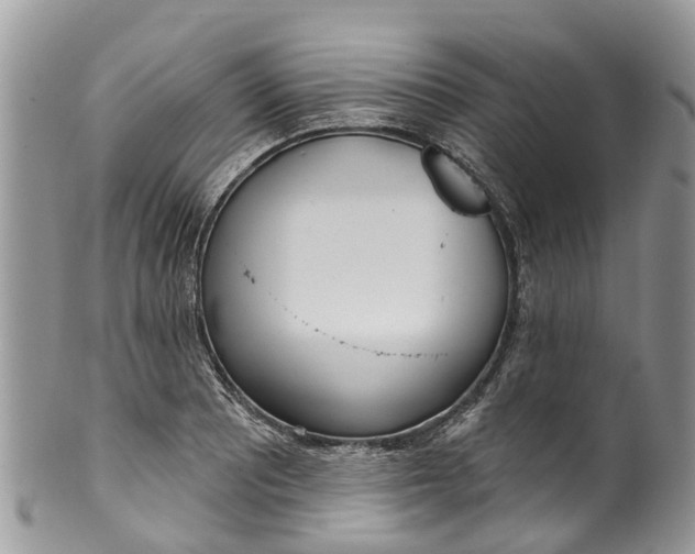 X0000099971081200806131527