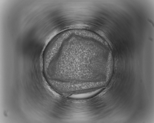 X0000099971083200806131527