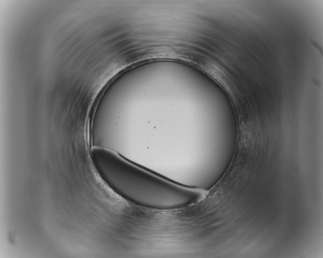 X0000099971084200806131527