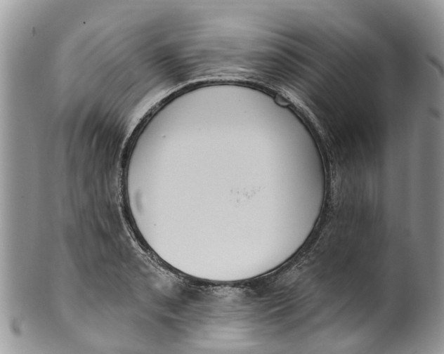 X0000099971085200806131527