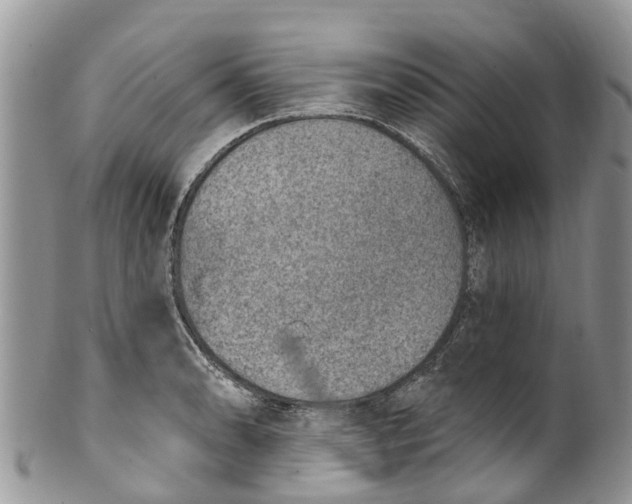 X0000099971086200806131527