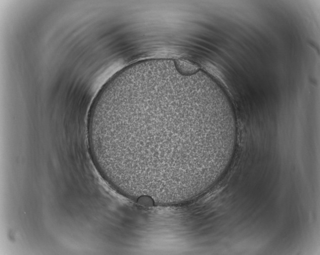 X0000099971087200806131527