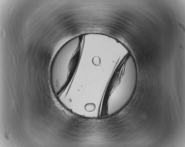 X0000099971088200806131527