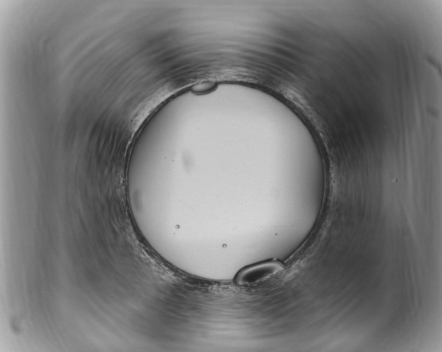 X0000099971089200806131527