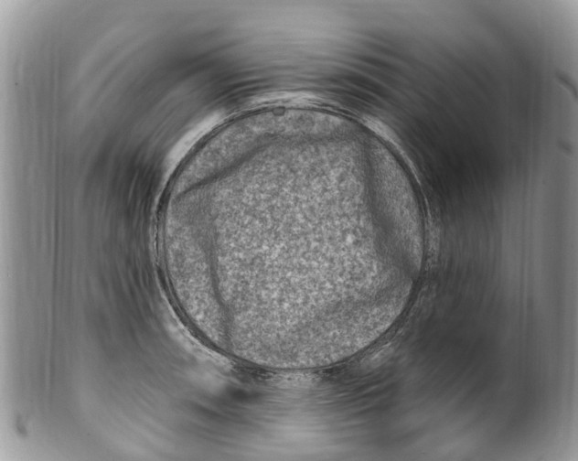 X0000099971090200806131527