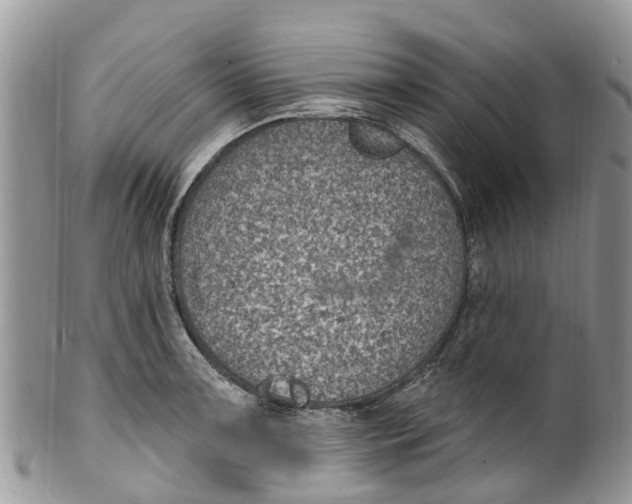 X0000099971091200806131527