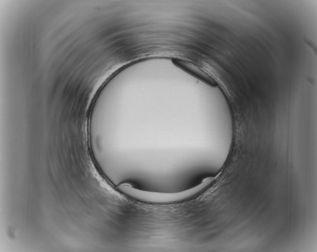 X0000099971092200806131527