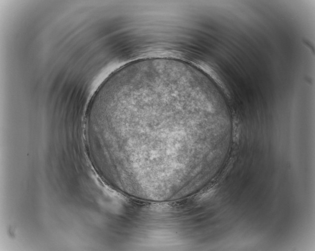 X0000099971094200806131526