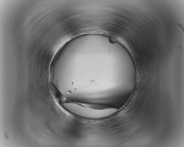 X0000099971095200806131526