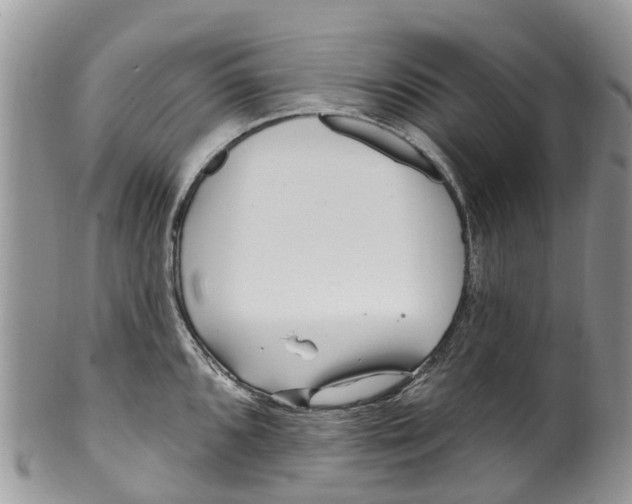 X0000099971096200806131526