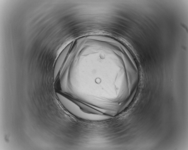 X0000099971097200806131526