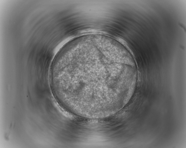 X0000099971098200806131526