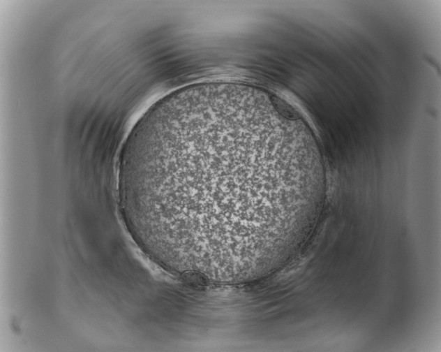 X0000099971099200806131526