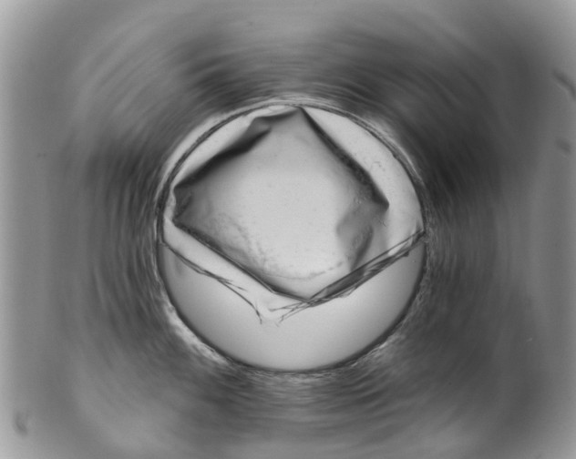 X0000099971100200806131526