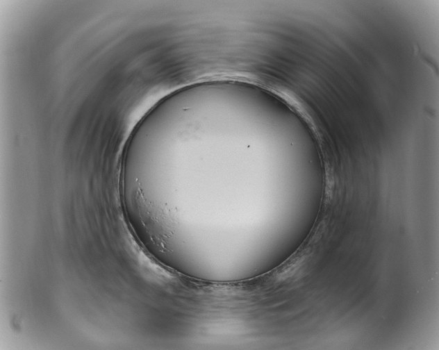 X0000099971102200806131526