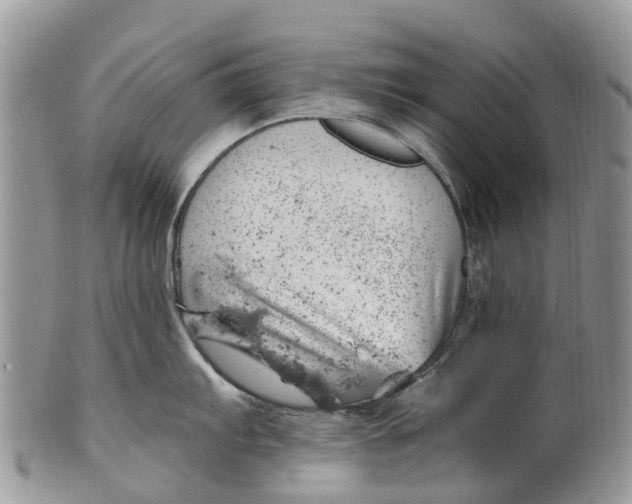 X0000099971103200806131526