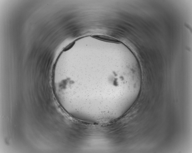 X0000099971104200806131526