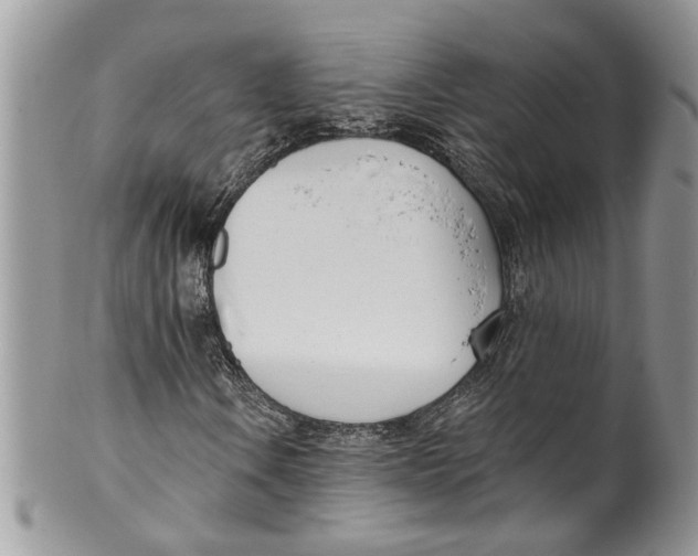 X0000099971106200806131526