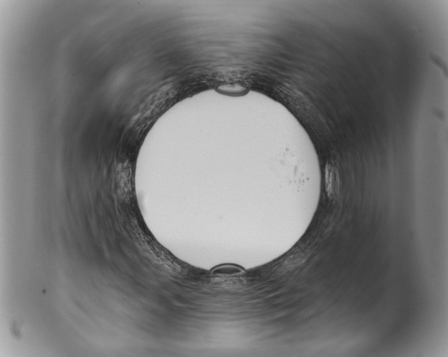 X0000099971107200806131526