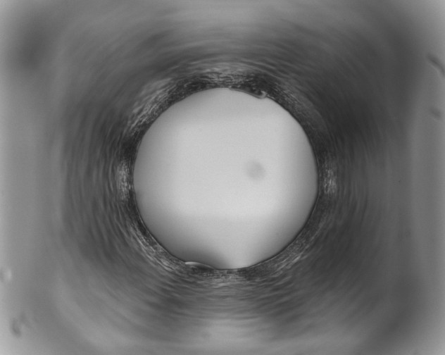 X0000099971108200806131526