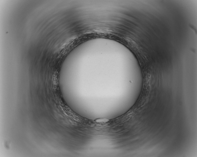 X0000099971110200806131526