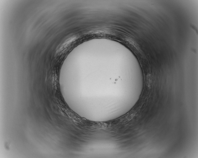 X0000099971111200806131526