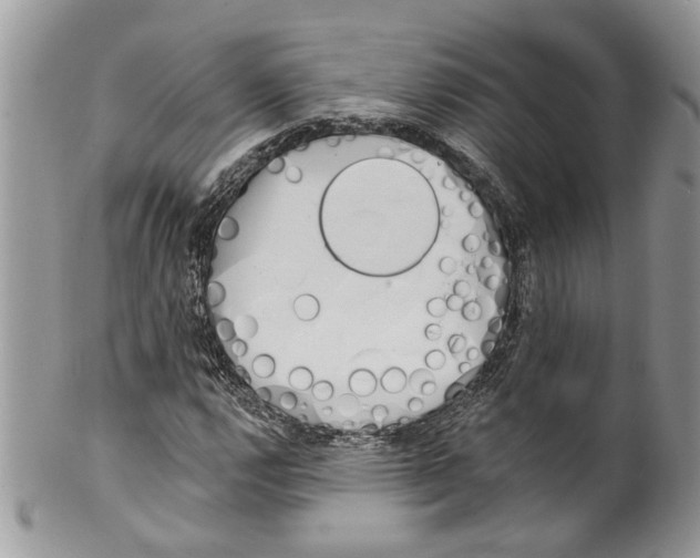 X0000099971112200806131526