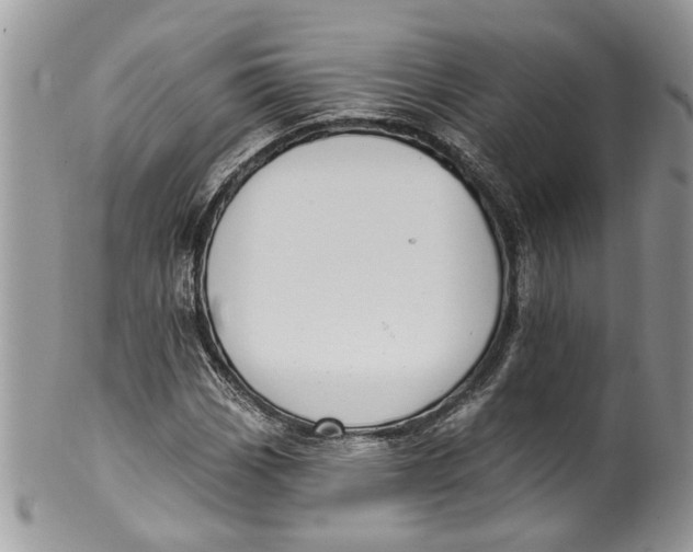 X0000099971113200806131526