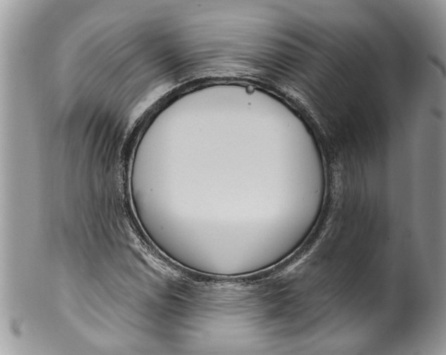 X0000099971114200806131526