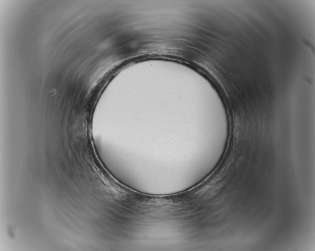 X0000099971115200806131526