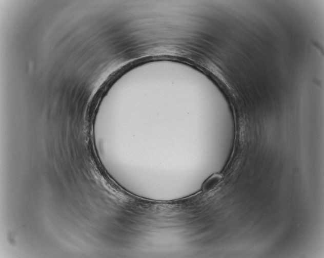 X0000099971116200806131526