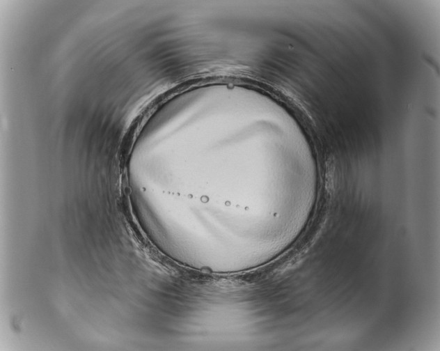 X0000099971117200806131526