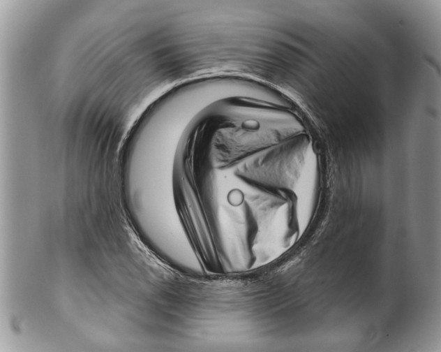 X0000099971118200806131526