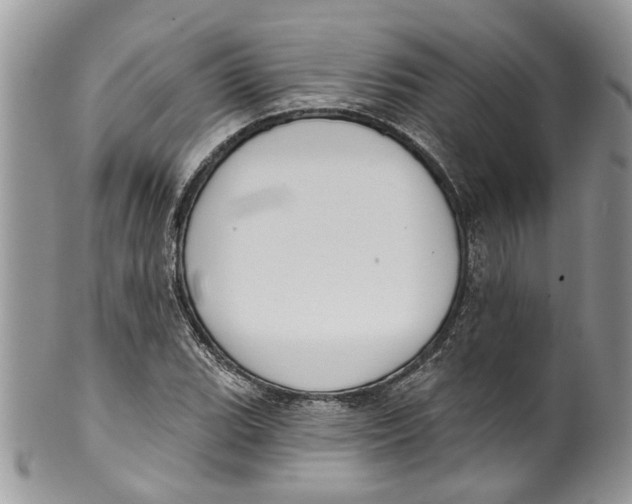 X0000099971119200806131526