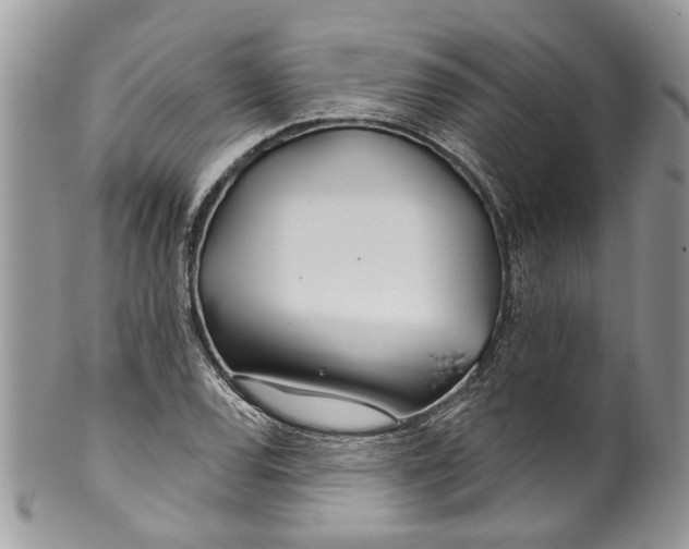 X0000099971120200806131526