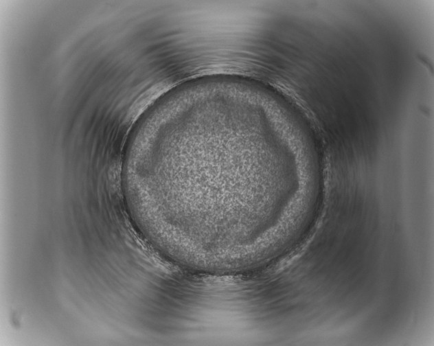 X0000099971121200806131526