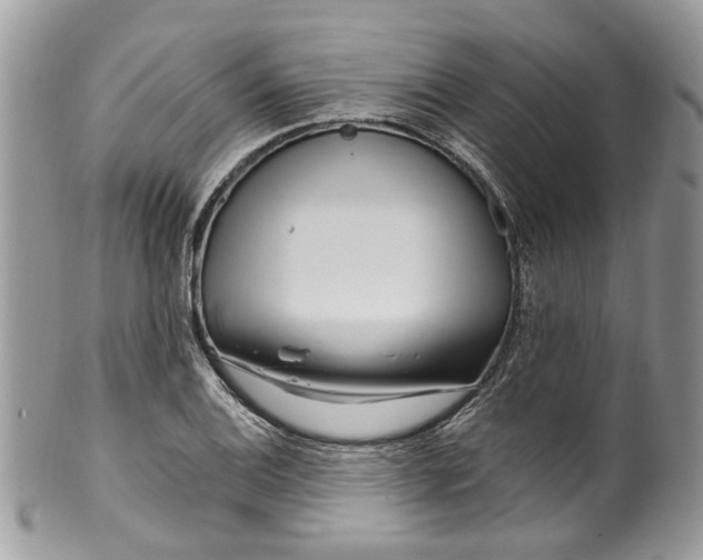 X0000099971124200806131526