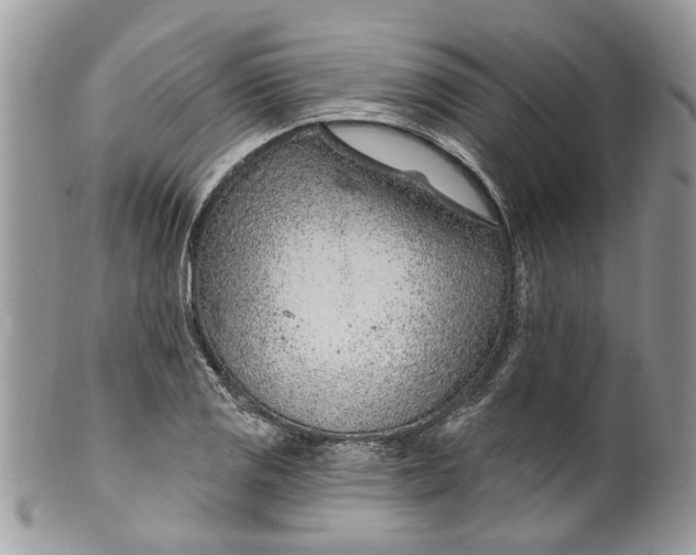 X0000099971125200806131526