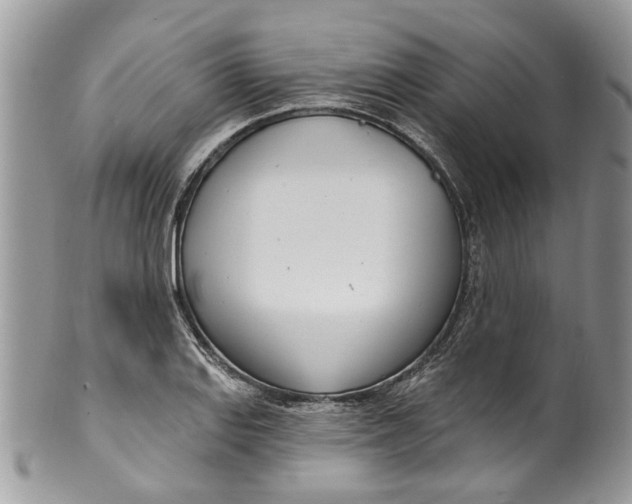 X0000099971127200806131526