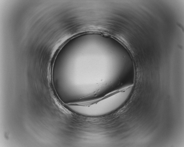 X0000099971128200806131526