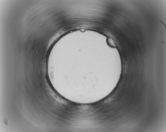 X0000099971130200806131526