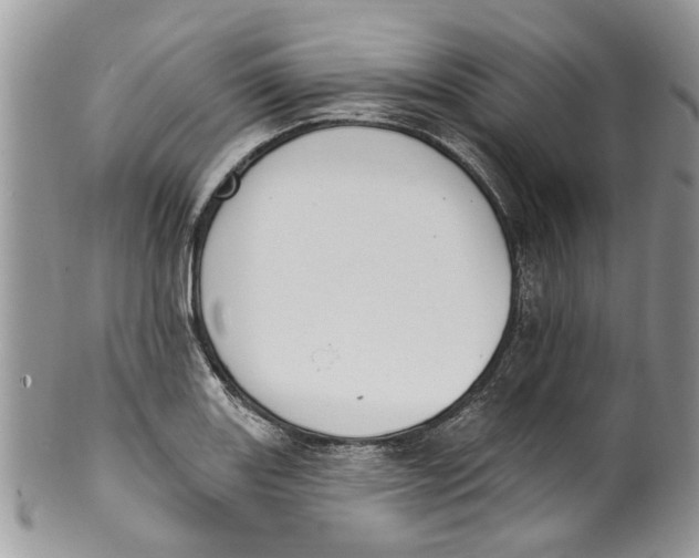 X0000099971131200806131526