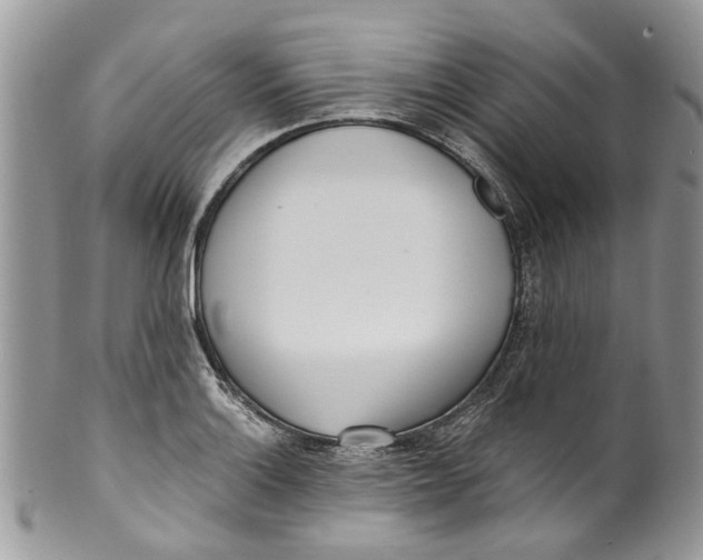 X0000099971132200806131526