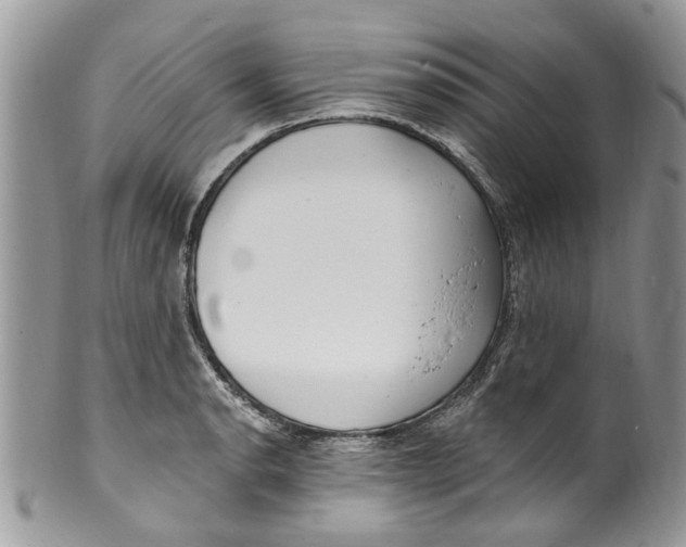 X0000099971134200806131526