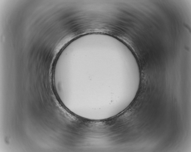 X0000099971135200806131526